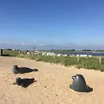 Seeteufel * Büsum