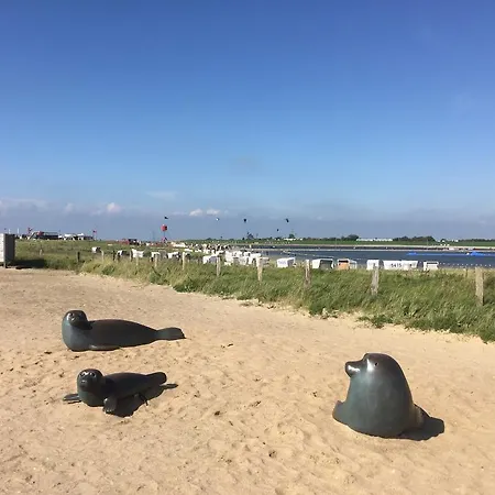 Seeteufel * Büsum